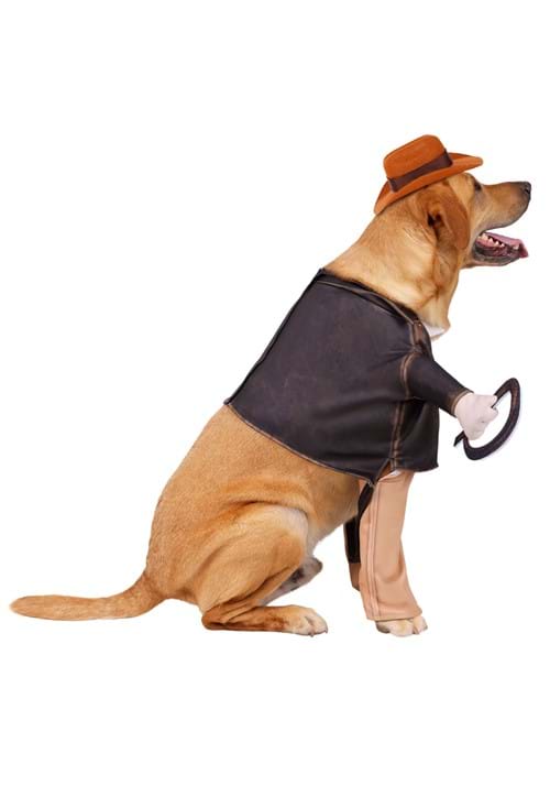Indiana Jones Costume for Pets 3 Indiana Jones Costume for Pets