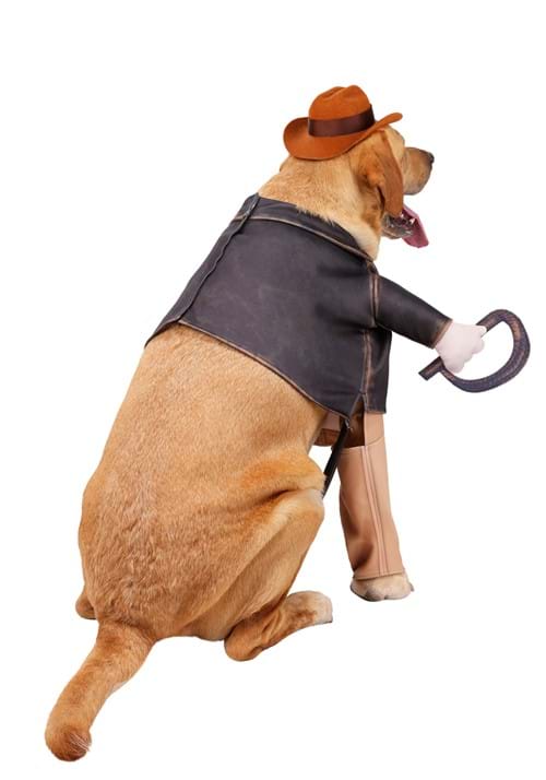 Indiana Jones Costume for Pets 4 Indiana Jones Costume for Pets