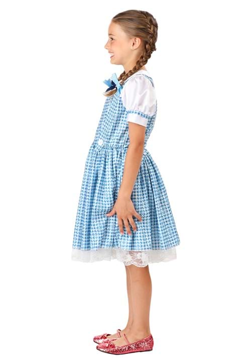 Girl's Farm Girl Costume 7 Girl's Farm Girl Costume