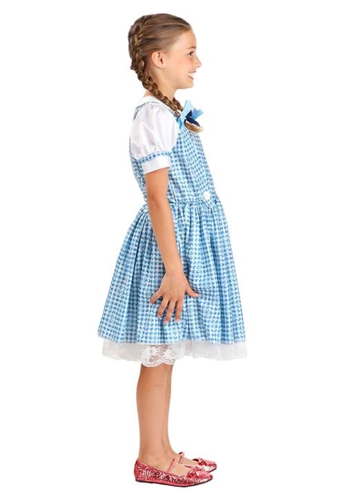 Girl's Farm Girl Costume 8 Girl's Farm Girl Costume