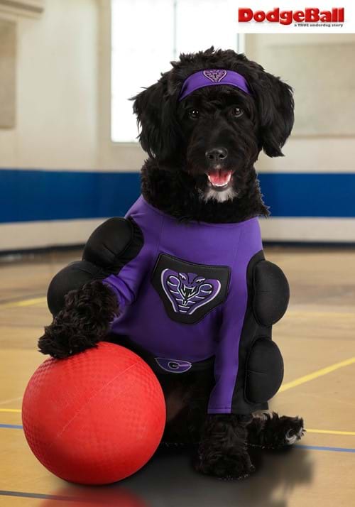 Dodgeball Globo Gym Costume for Pets