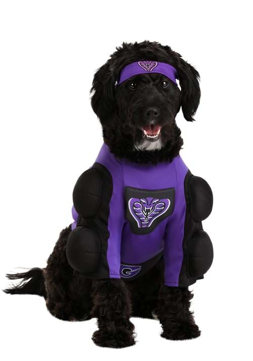 Dodgeball Globo Gym Costume for Pets