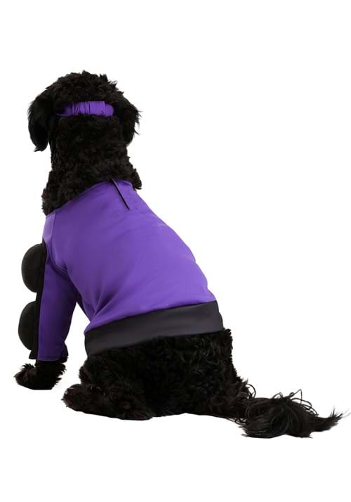 Dodgeball Globo Gym Costume for Pets