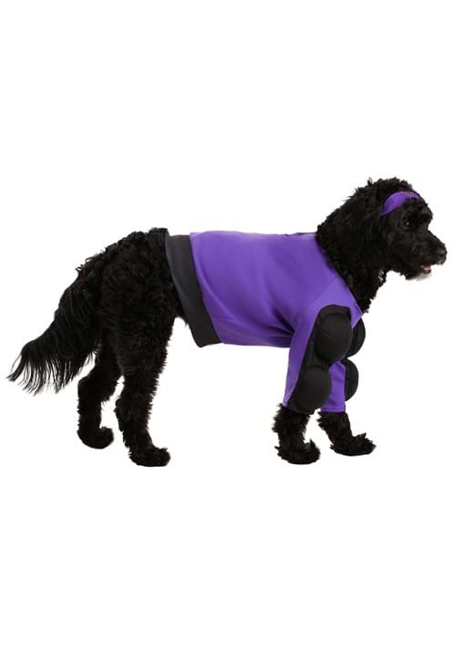 Dodgeball Globo Gym Costume for Pets