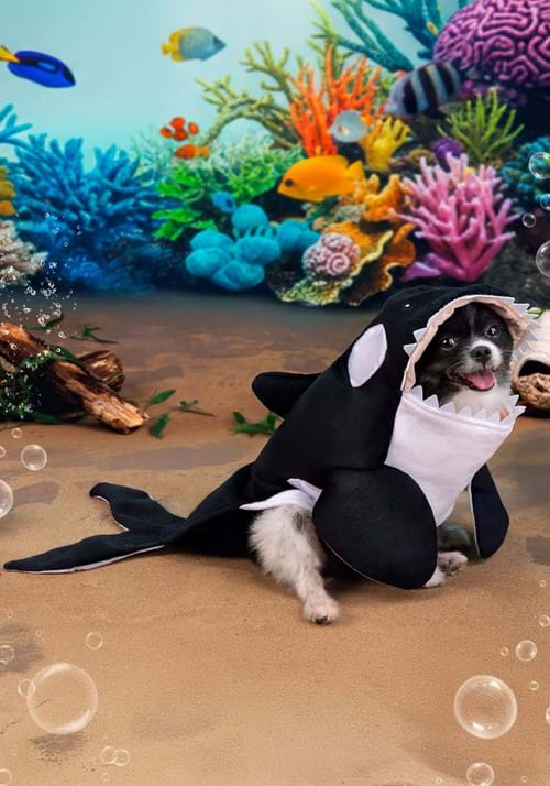 Pet Orca Costume