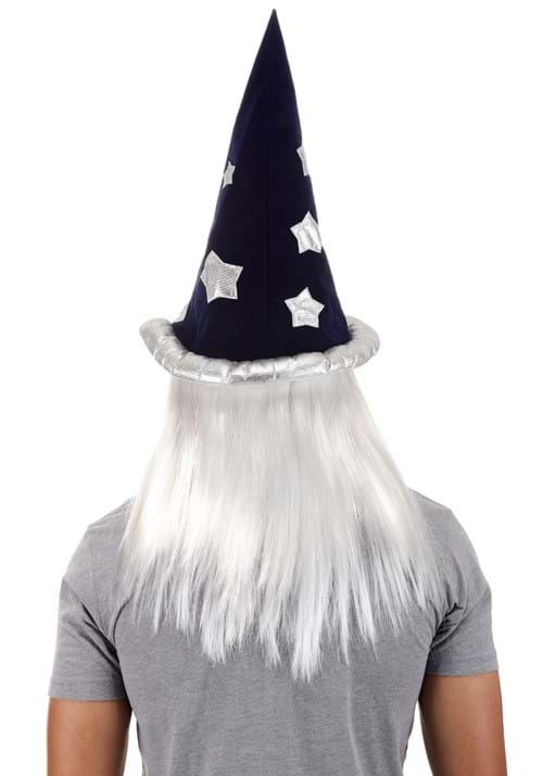 Merlin Wig and Beard Costume Kit