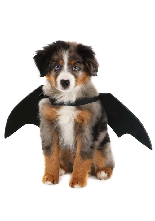 Pet Black Bat Wings Costume