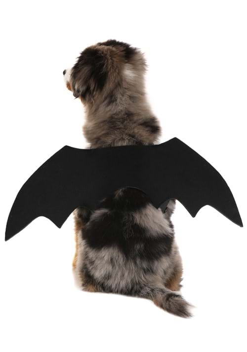 Pet Black Bat Wings Costume 3 Pet Black Bat Wings Costume