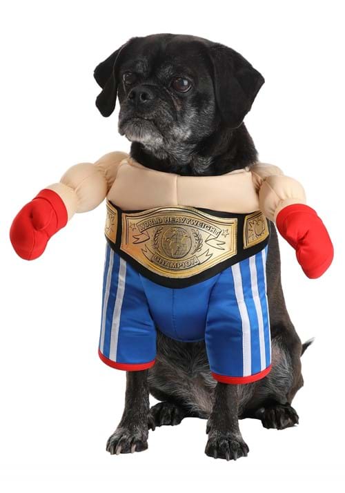 Champion Pet Boxer Costume