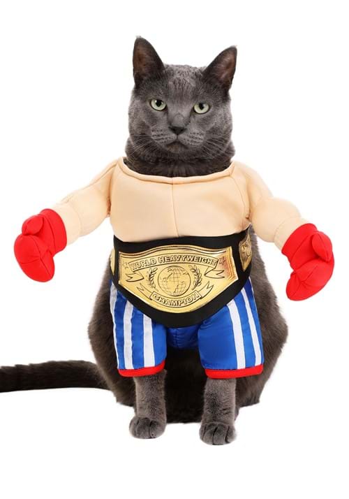 Champion Pet Boxer Costume