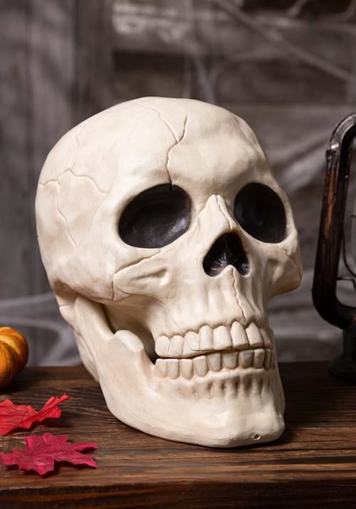 10-Inch Large Skull with Moveable Jaw Prop Decoration