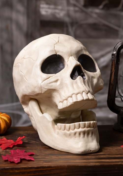 10-Inch Large Skull with Moveable Jaw Prop Decoration