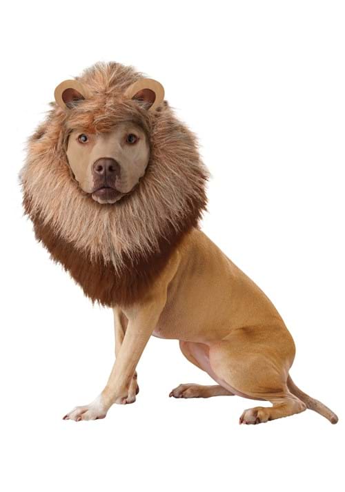 Classic Pet Lion Costume