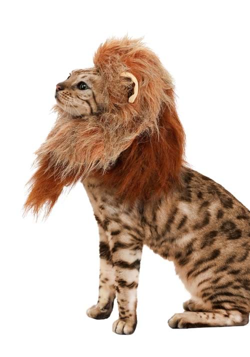 Classic Pet Lion Costume 3 Classic Pet Lion Costume