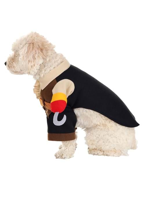 Pirate Pet Costume