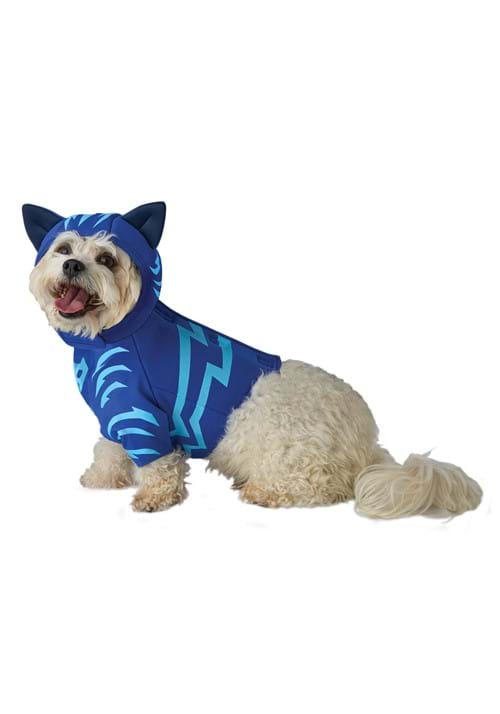 PJ Masks Pet Catboy Costume