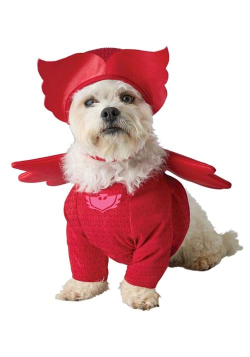 PJ Masks Pet Owlette Costume